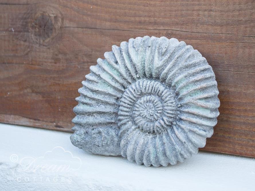 Ammonite Cottage Portland Exterior foto